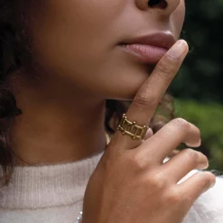 Bague Bambou acier doré or