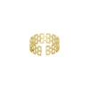 Bague Canisse acier doré or