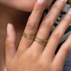 Bague Canisse acier doré or