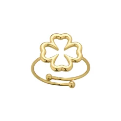 Bague Evy acier doré or