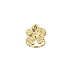 Bague Florine acier doré or