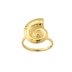 Bague Galapagos acier doré or