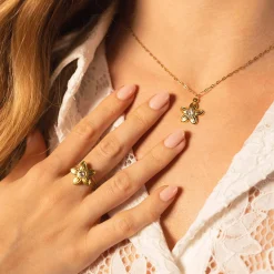 Bague Javie acier doré or
