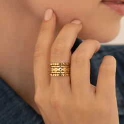 Bague Lucie acier doré or