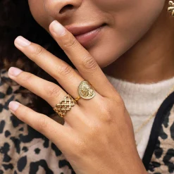 Bague République Française acier doré or