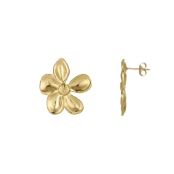 Boucles Florine acier doré or