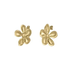 Boucles Florine acier doré or