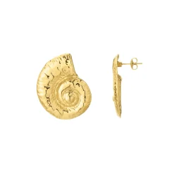 Boucles Galapagos acier doré or
