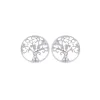 Boucles Palabre