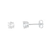 Boucles Puces Argent 925 rhodié