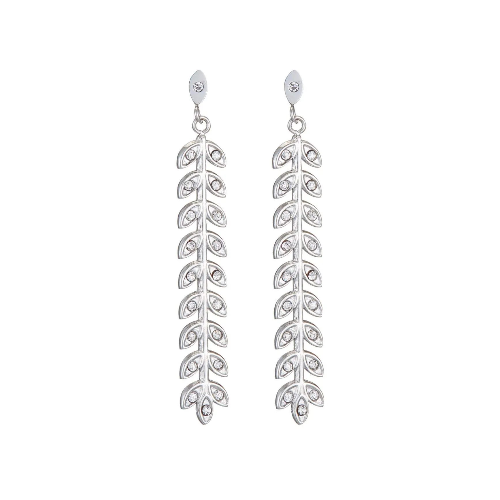 Boucles Rameau acier
