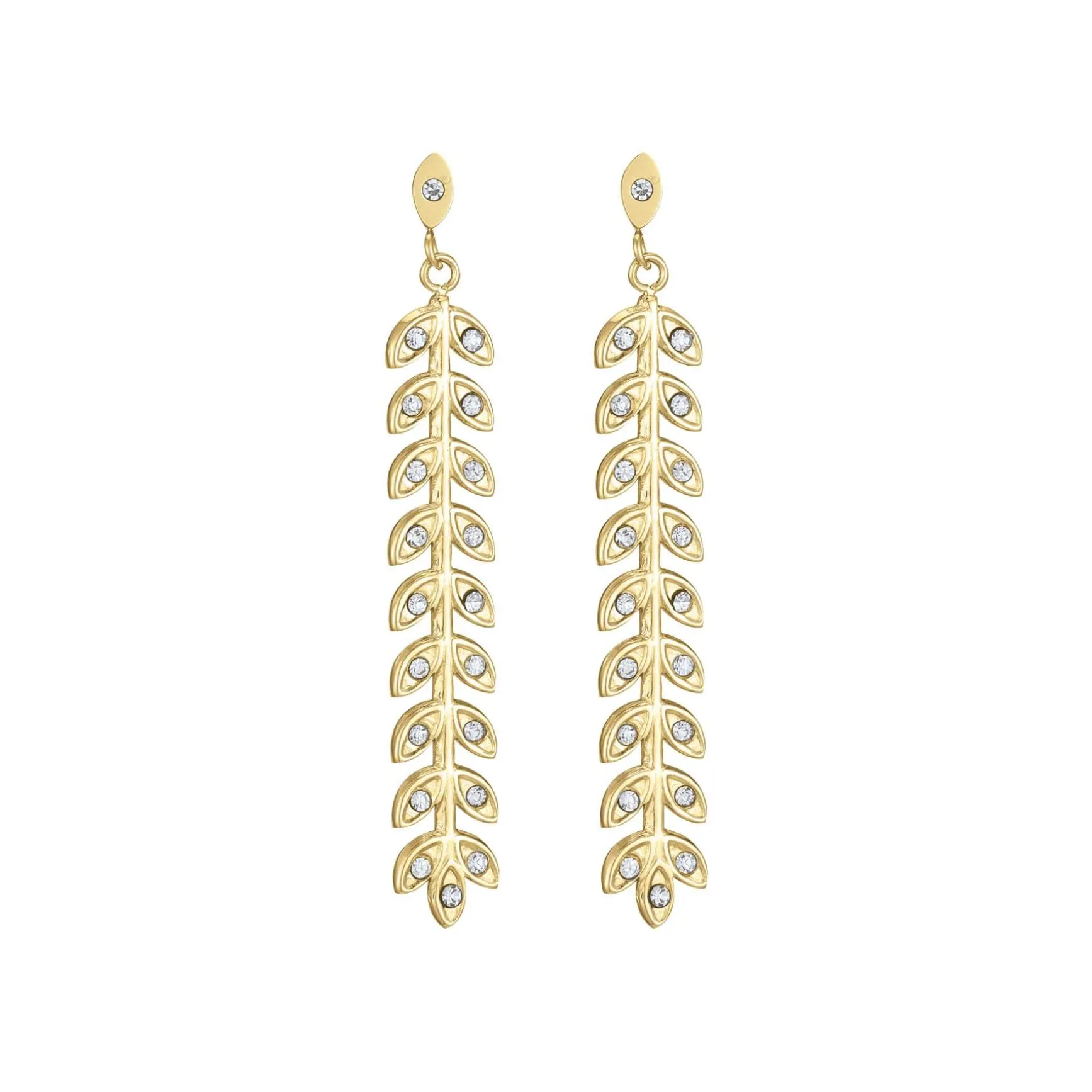 Boucles Rameau acier doré or