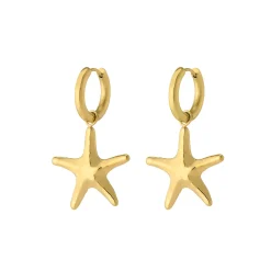 Boucles Zanzibar acier doré or