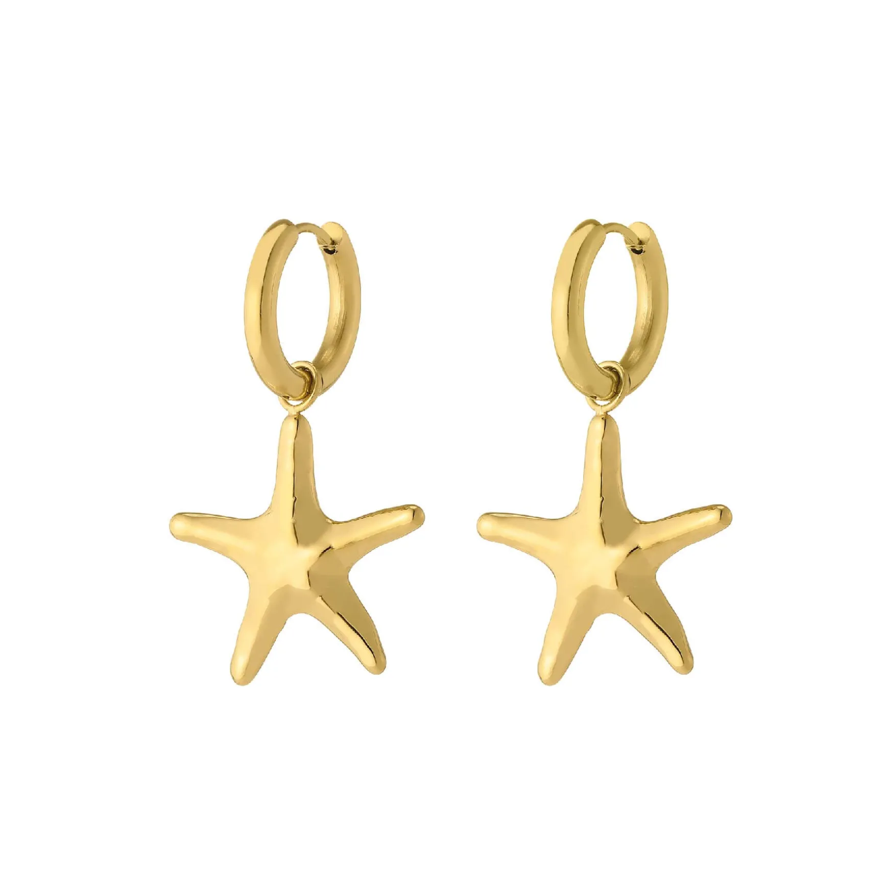 Boucles Zanzibar acier doré or