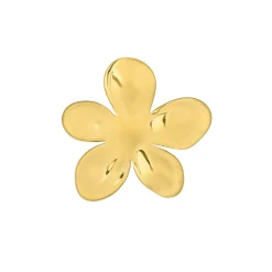 Broche Victoria acier doré or