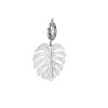 Charm acier Monstera