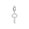 Charm Clef acier zircons