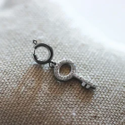 Charm Clef acier zircons