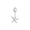 Charm Etoile de mer acier