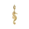 Charm hypocampe acier doré or