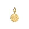 Charm Médaille acier doré or