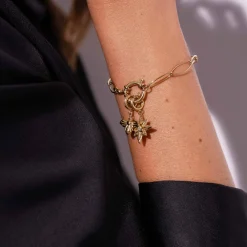 Charm Soleil acier doré or et zircon