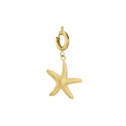 Charm étoile de mer acier doré or