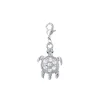 Charm Tortue