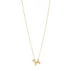 Collier Dog acier doré or