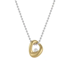 Collier Erine acier argenté et doré or