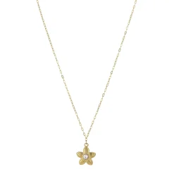 Collier Javie acier doré or