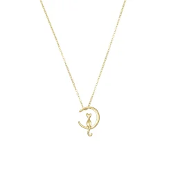 Collier Miaou acier doré or